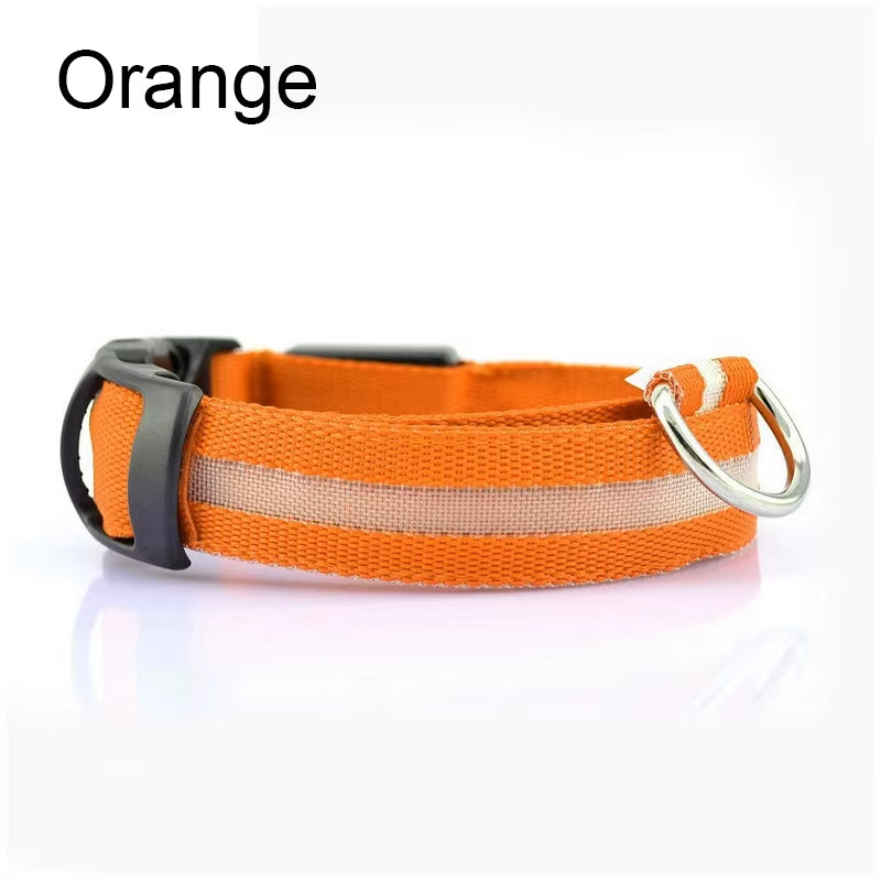 Pet Dogs Luminous Fluorescent Dog Accessories Collar Reflective LED Dog Collar Nylon Night Safety Flashing Glow in the Dark