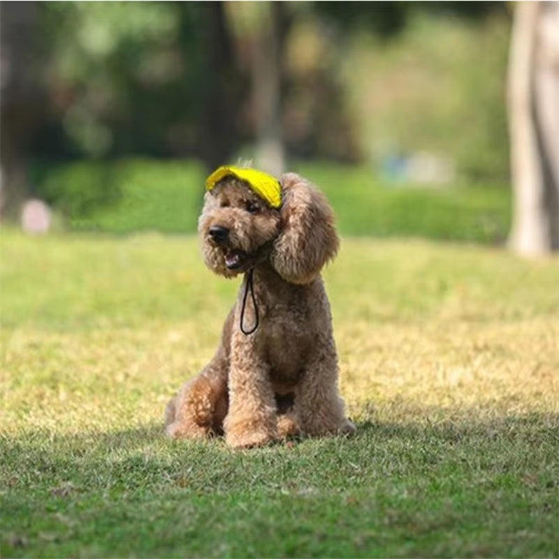 Small Puppy Pets Summer Solid Color Cap Dog Baseball Visor Hat Outdoor Accessories Sun Bonnet Travelhelmet