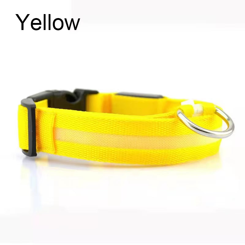 Pet Dogs Luminous Fluorescent Dog Accessories Collar Reflective LED Dog Collar Nylon Night Safety Flashing Glow in the Dark